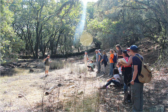 Students stand in a clearing listening to instructor