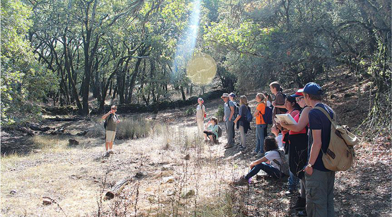 Students stand in a clearing listening to instructor