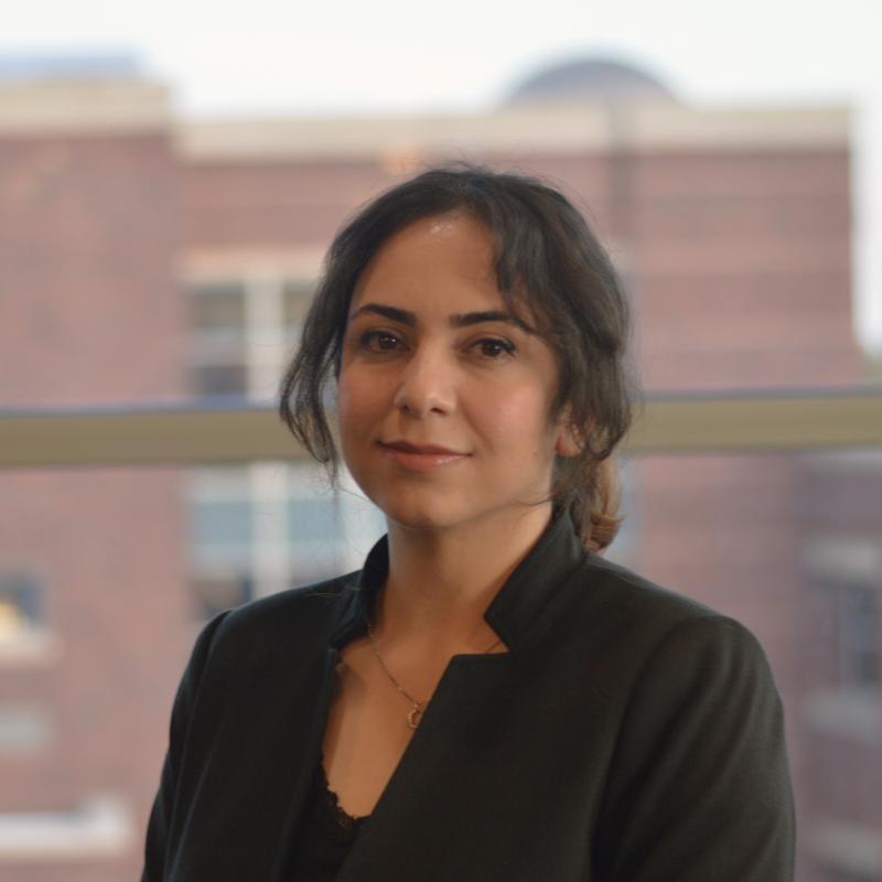 Headshot of Roya Salek Shahrezaie
