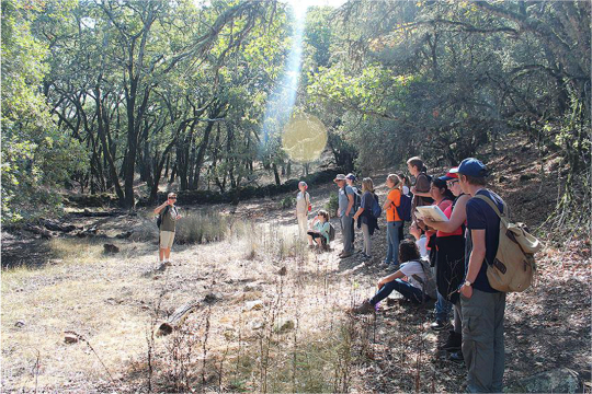 Students stand in a clearing listening to instructor