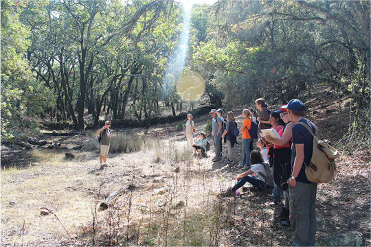 Students stand in a clearing listening to instructor